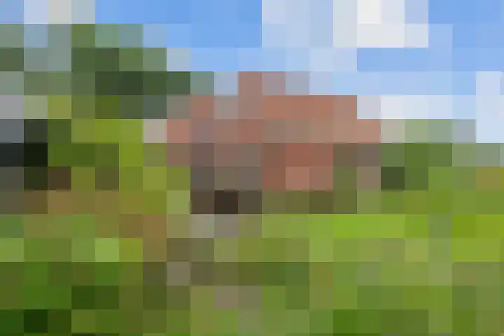 Oosterwoldseweg 40 Haulerwijk thumbnail 63