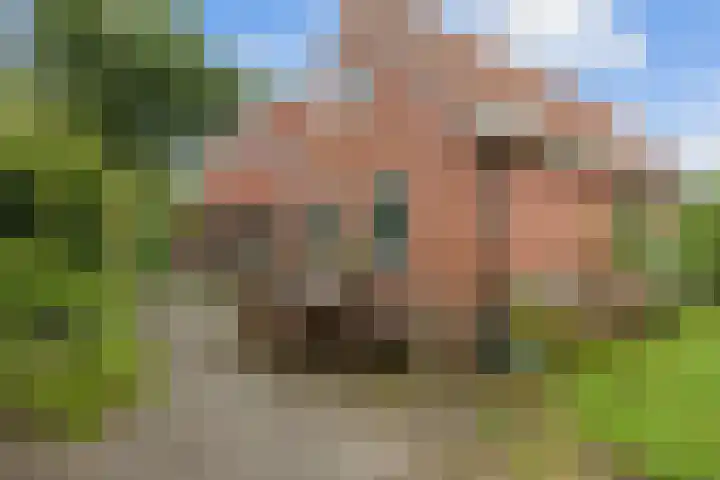 Oosterwoldseweg 40 Haulerwijk thumbnail 64