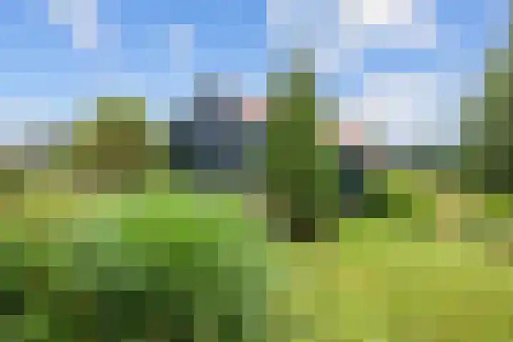 Oosterwoldseweg 40 Haulerwijk thumbnail 66