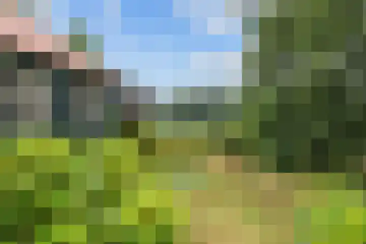 Oosterwoldseweg 40 Haulerwijk thumbnail 69