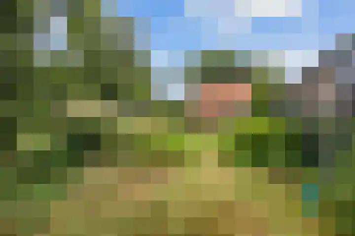 Oosterwoldseweg 40 Haulerwijk thumbnail 71