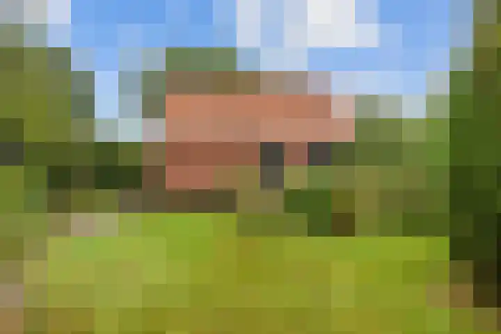 Oosterwoldseweg 40 Haulerwijk thumbnail 73