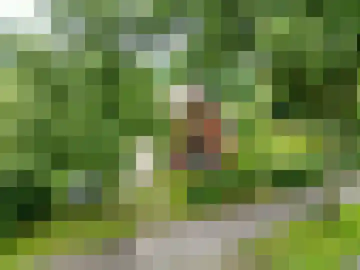 Oosterwoldseweg 40 Haulerwijk thumbnail 8