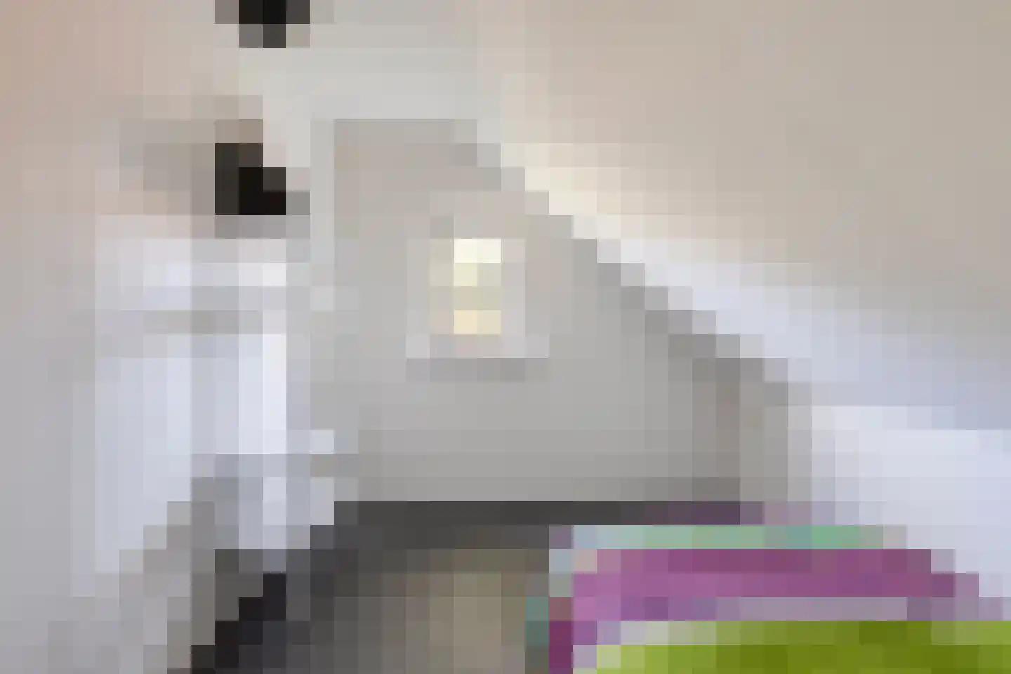 Oosterwoldseweg 56 Oldeberkoop thumbnail 28