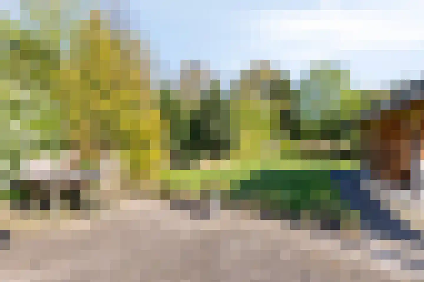 Oosterwoldseweg 56 Oldeberkoop thumbnail 31