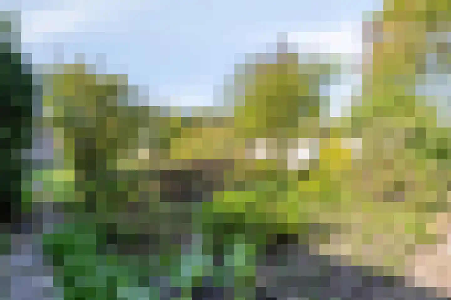 Oosterwoldseweg 56 Oldeberkoop thumbnail 37