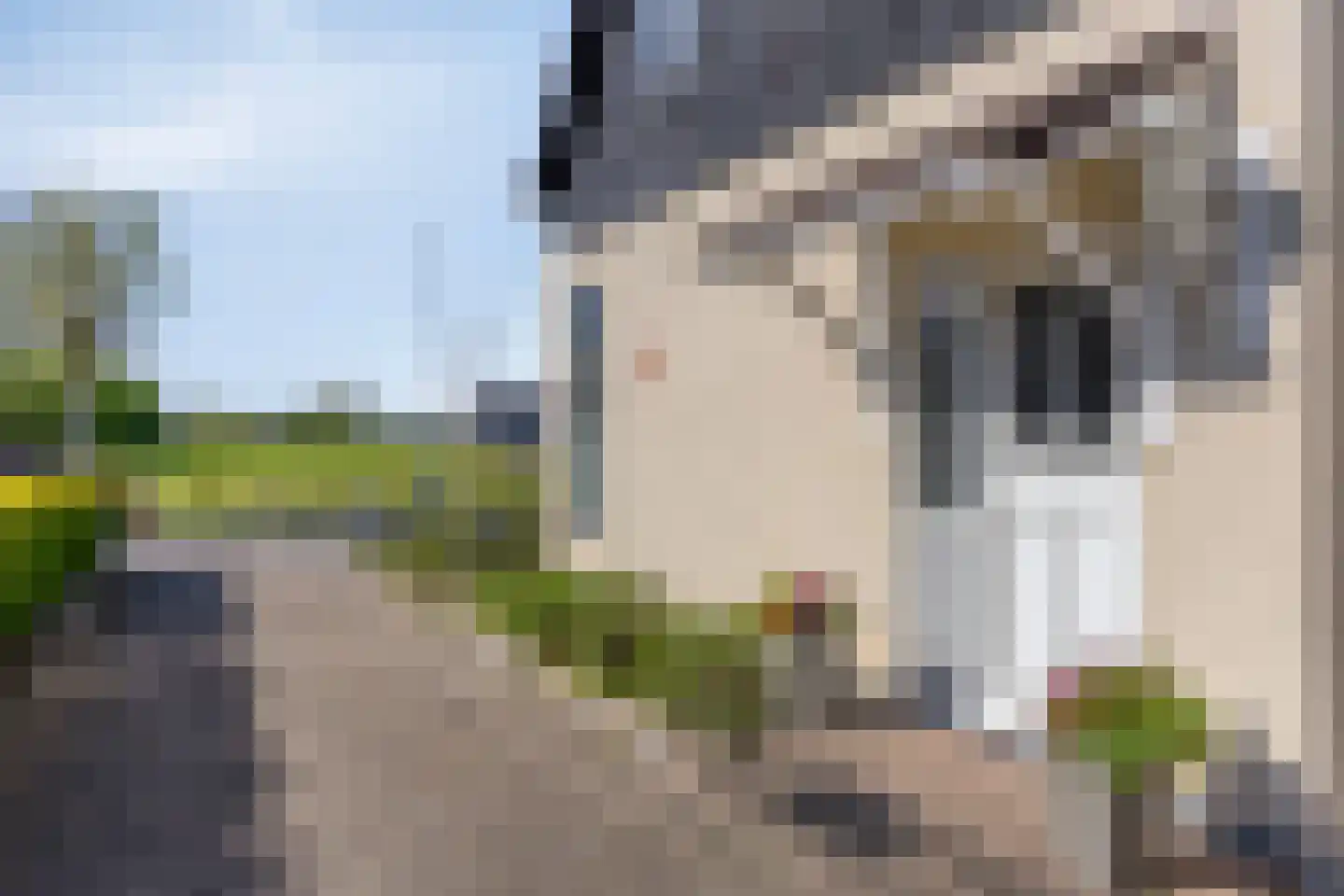 Oosterwoldseweg 56 Oldeberkoop thumbnail 40