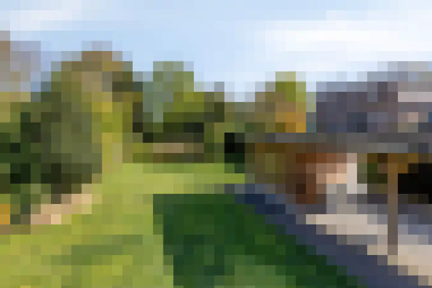 Oosterwoldseweg 56 Oldeberkoop thumbnail 44