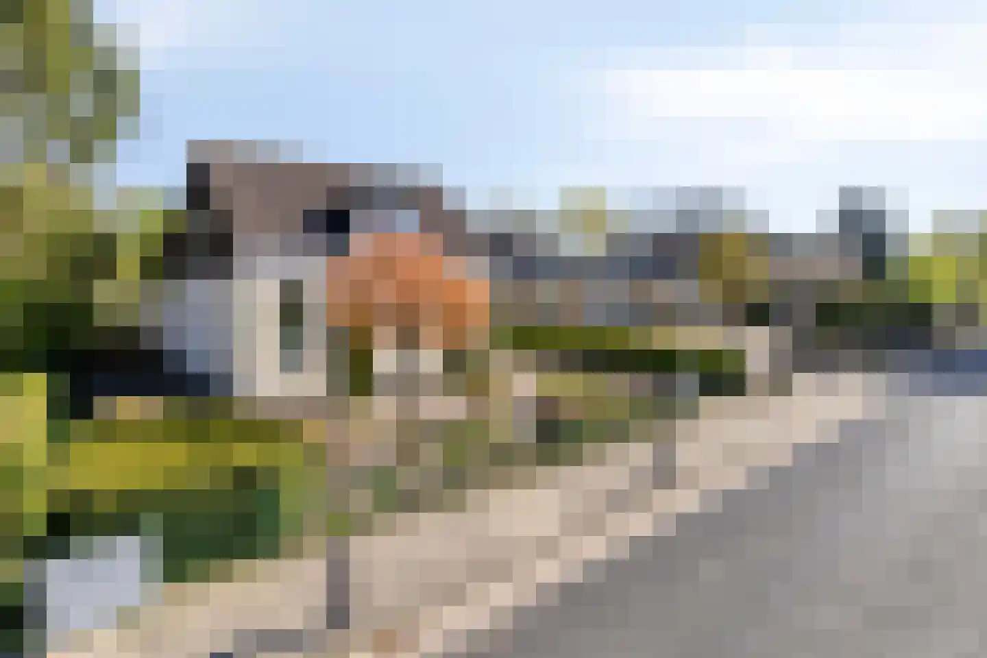 Oosterwoldseweg 56 Oldeberkoop thumbnail 45