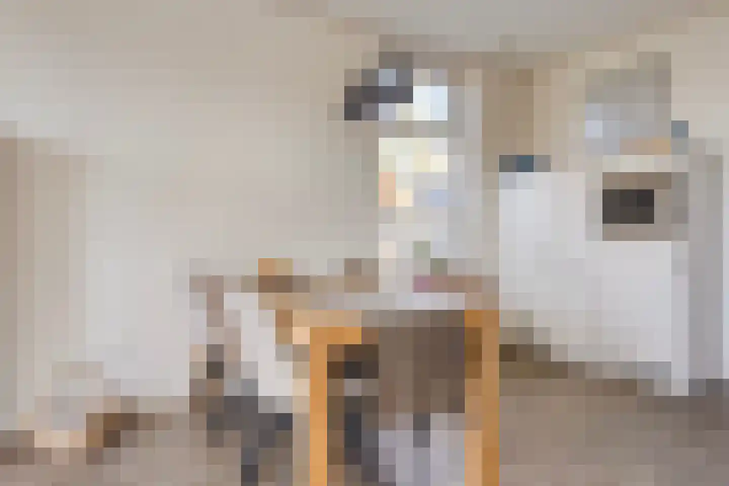 Oosterwoldseweg 56 Oldeberkoop thumbnail 8