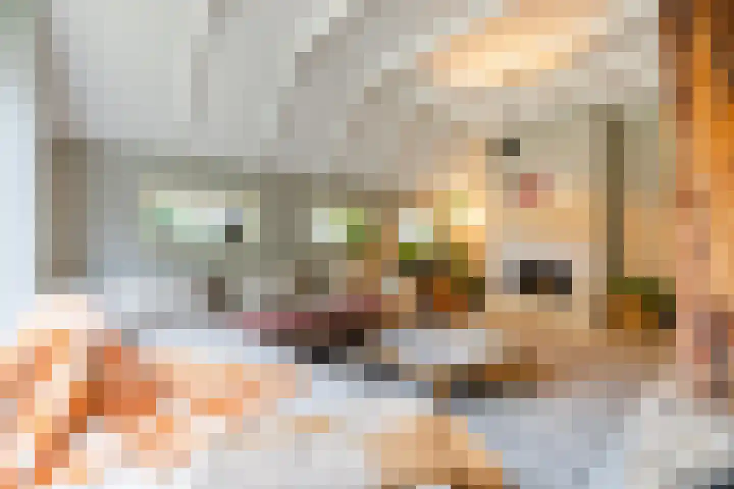 Oosterwoldseweg 80 A Oldeberkoop thumbnail 12