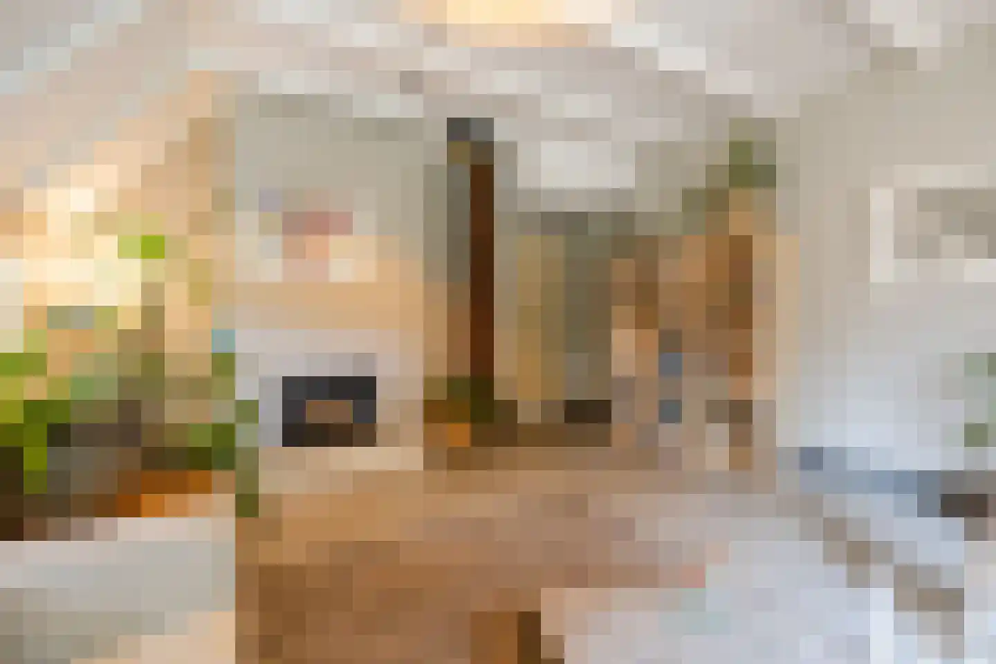 Oosterwoldseweg 80 A Oldeberkoop thumbnail 15