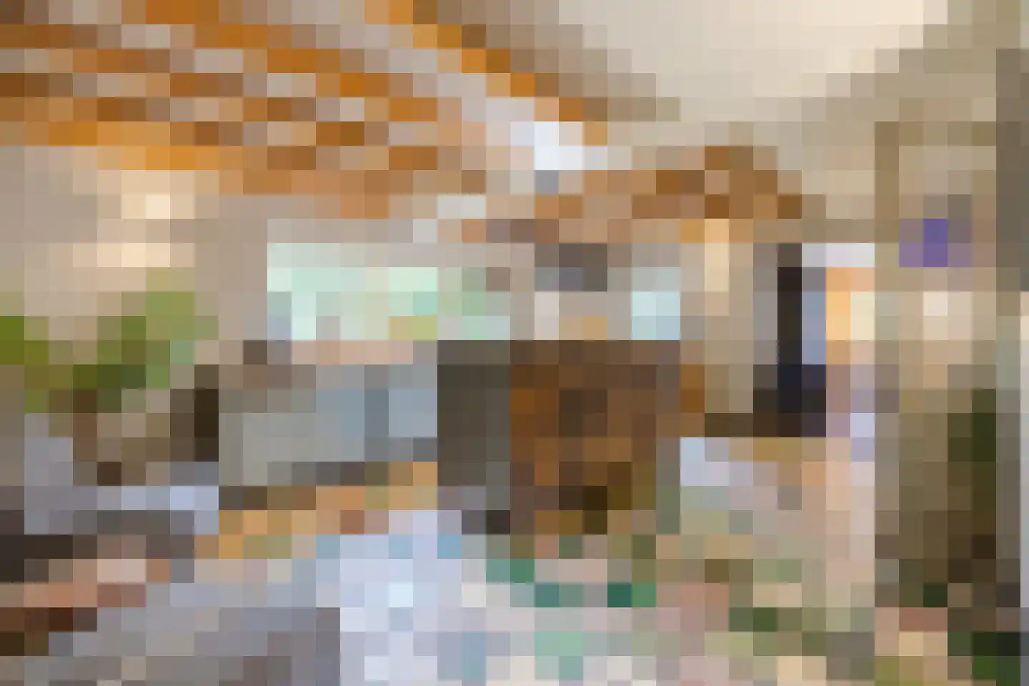 Oosterwoldseweg 80 A Oldeberkoop thumbnail 16