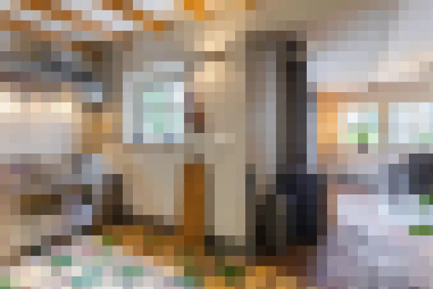 Oosterwoldseweg 80 A Oldeberkoop thumbnail 22