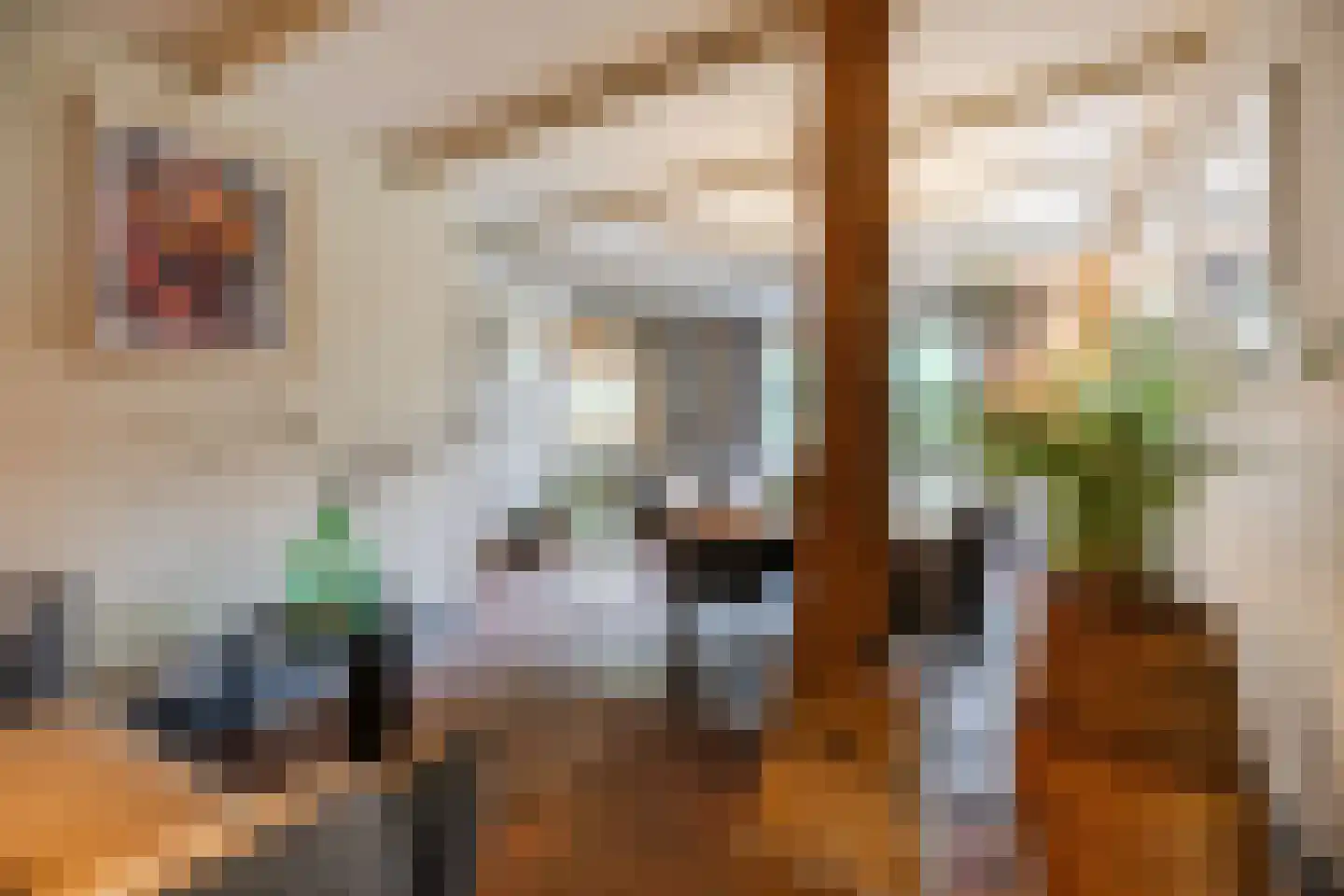 Oosterwoldseweg 80 A Oldeberkoop thumbnail 26