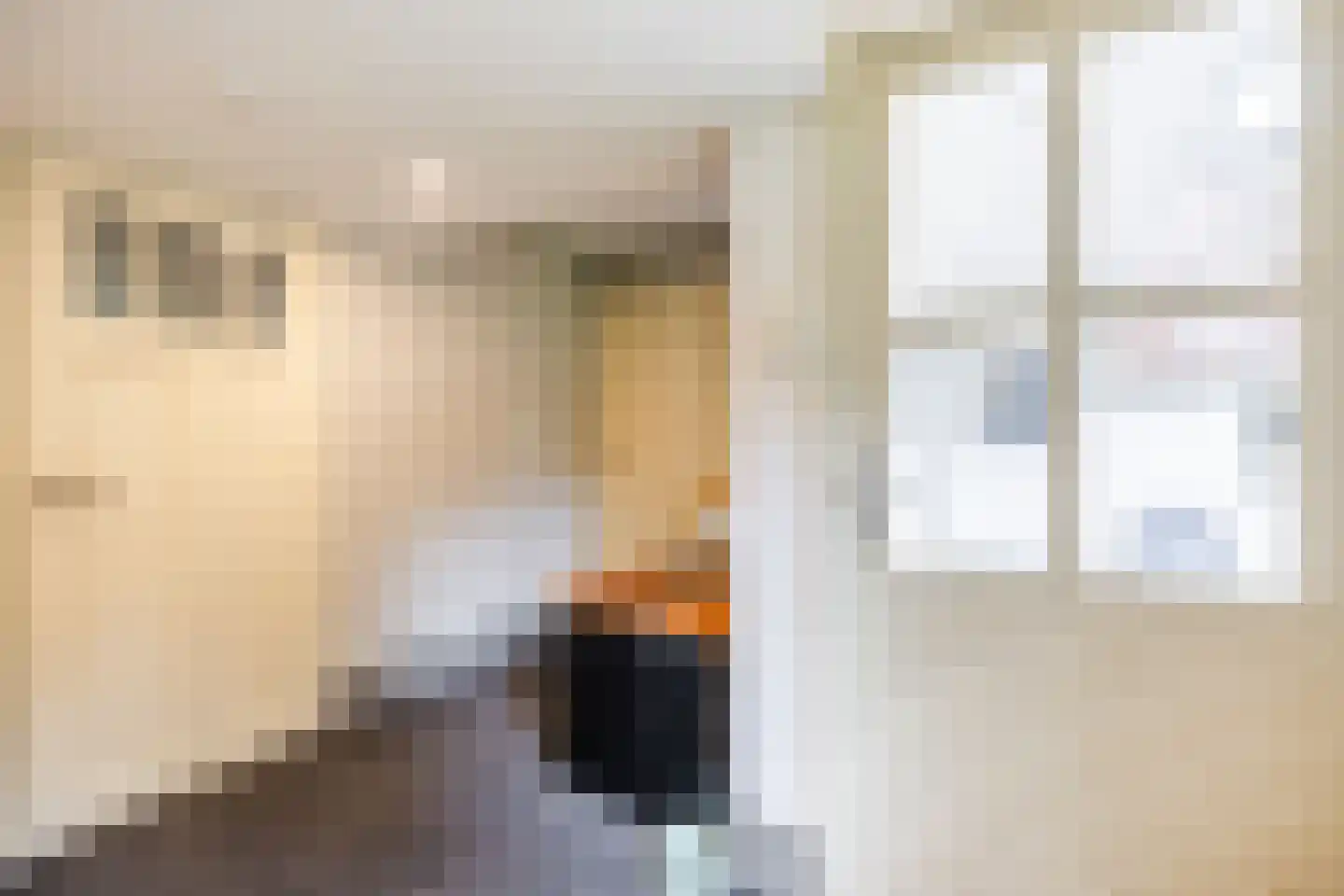 Oosterwoldseweg 80 A Oldeberkoop thumbnail 36