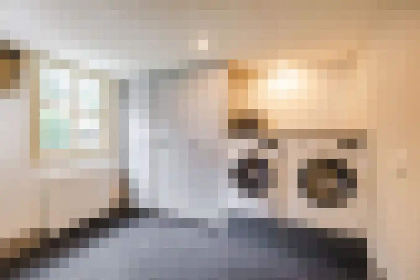 Oosterwoldseweg 80 A Oldeberkoop thumbnail 37