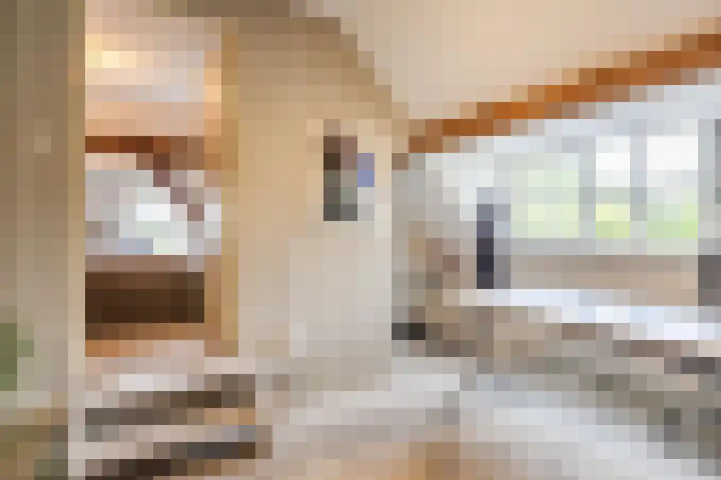 Oosterwoldseweg 80 A Oldeberkoop thumbnail 42