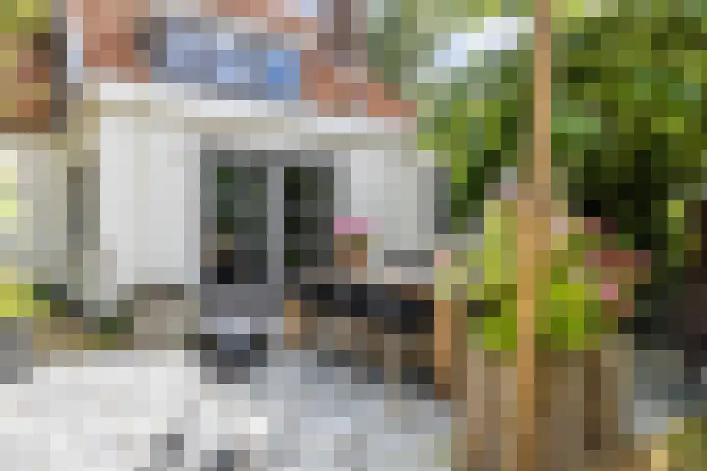 Oosterwoldseweg 80 A Oldeberkoop thumbnail 52