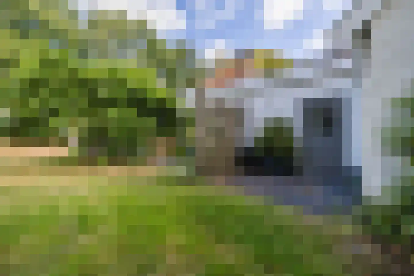 Oosterwoldseweg 80 A Oldeberkoop thumbnail 54