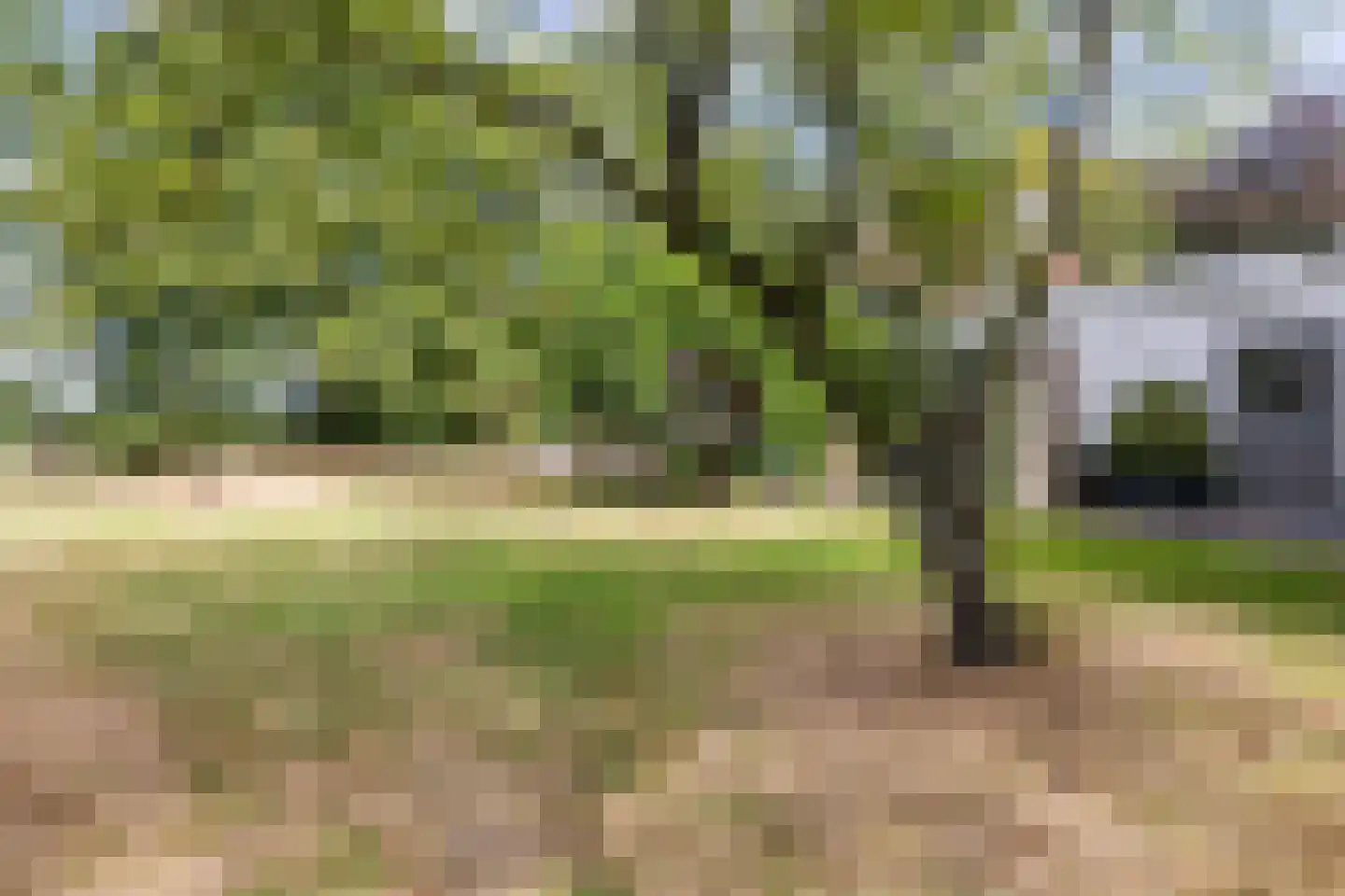 Oosterwoldseweg 80 A Oldeberkoop thumbnail 55