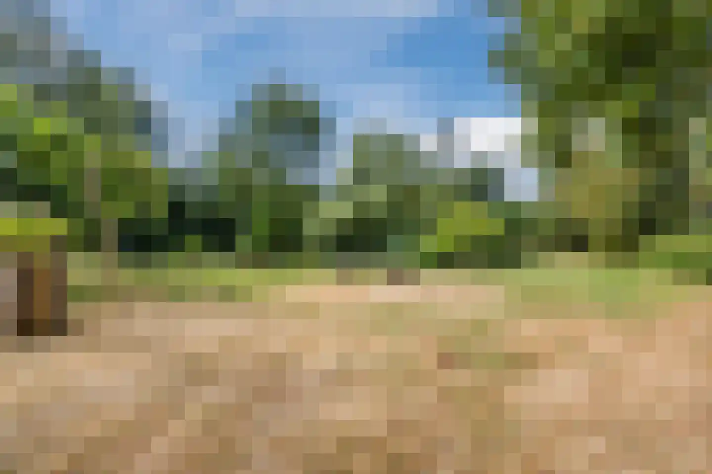 Oosterwoldseweg 80 A Oldeberkoop thumbnail 57