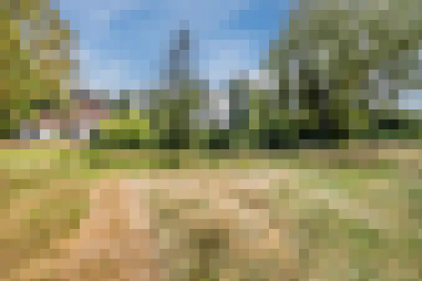 Oosterwoldseweg 80 A Oldeberkoop thumbnail 58