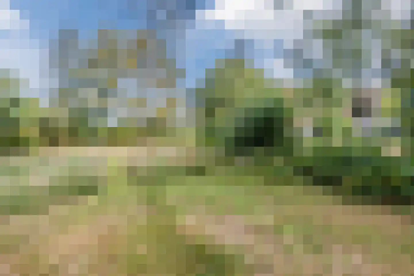 Oosterwoldseweg 80 A Oldeberkoop thumbnail 59