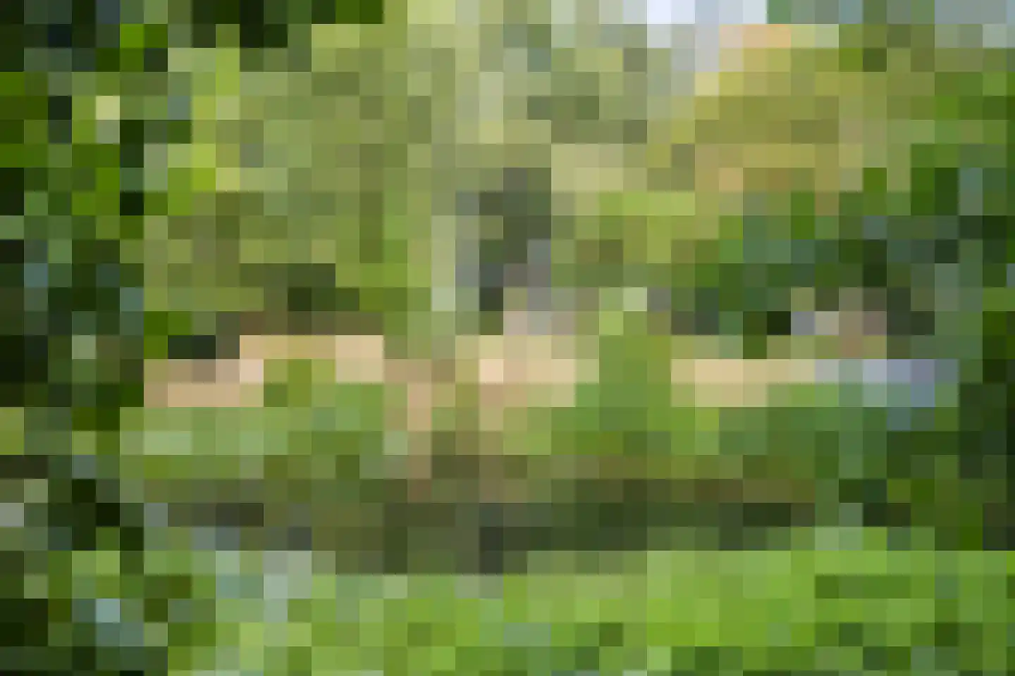 Oosterwoldseweg 80 A Oldeberkoop thumbnail 60