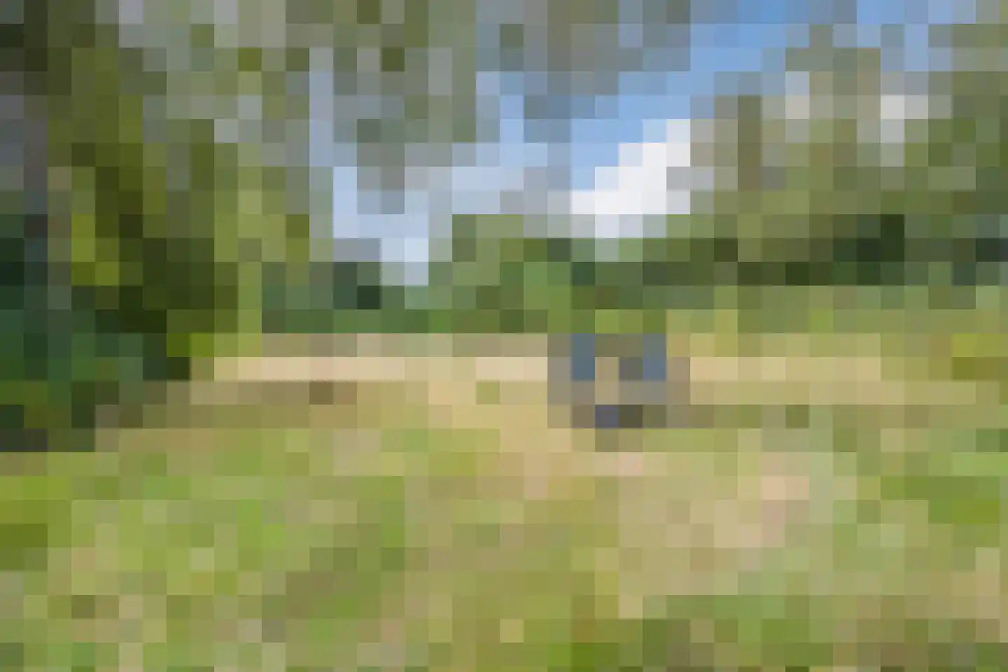 Oosterwoldseweg 80 A Oldeberkoop thumbnail 61