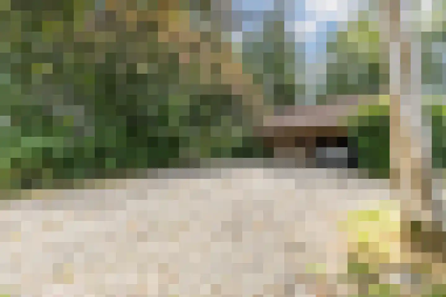 Oosterwoldseweg 80 A Oldeberkoop thumbnail 64