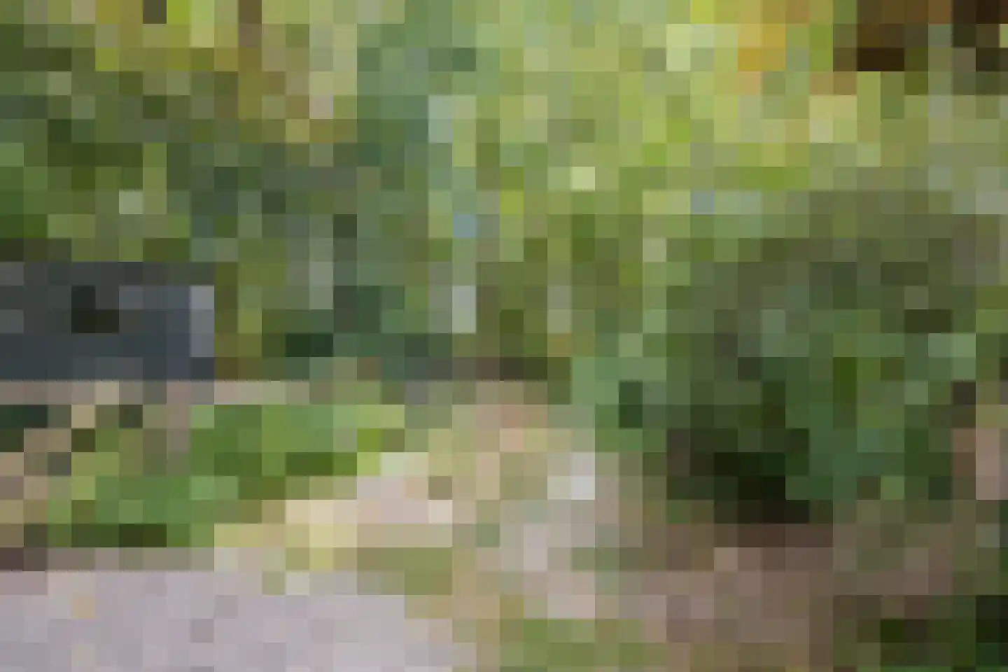 Oosterwoldseweg 80 A Oldeberkoop thumbnail 65