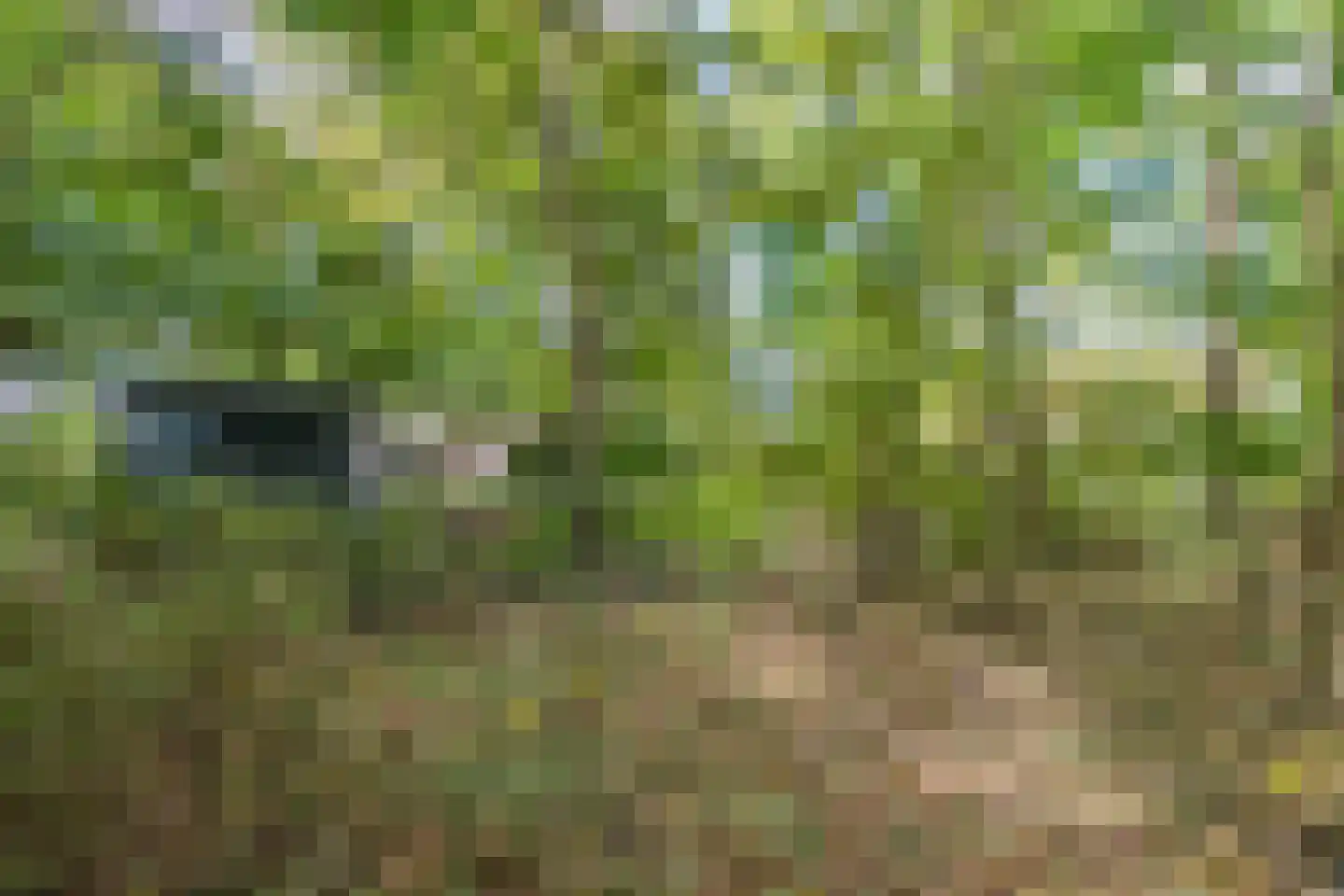 Oosterwoldseweg 80 A Oldeberkoop thumbnail 66
