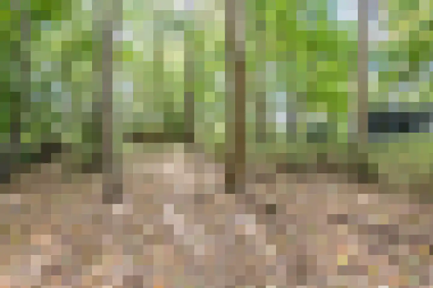 Oosterwoldseweg 80 A Oldeberkoop thumbnail 67