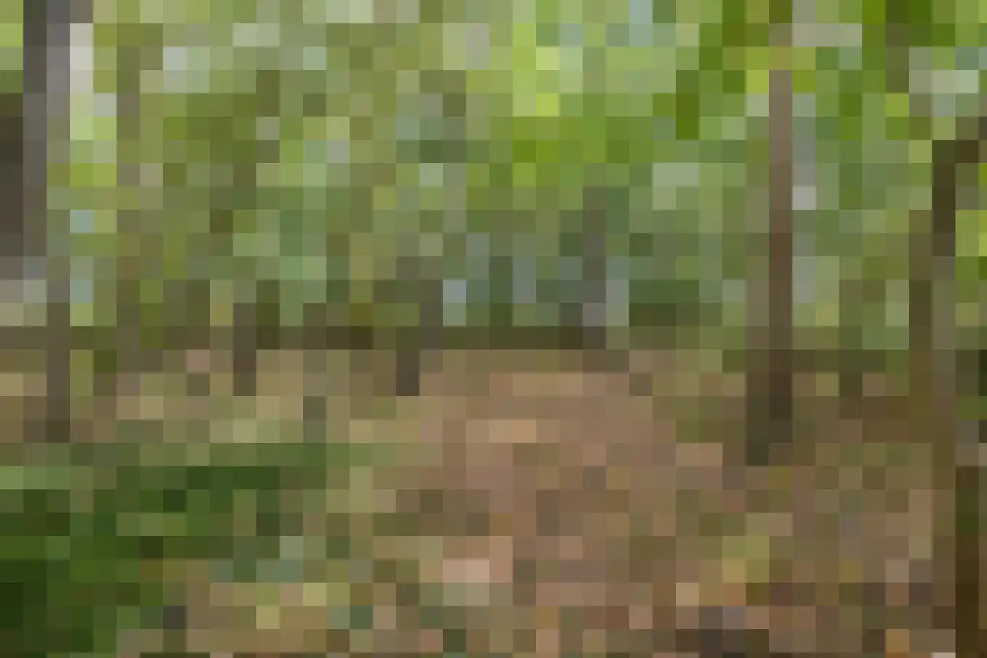Oosterwoldseweg 80 A Oldeberkoop thumbnail 68