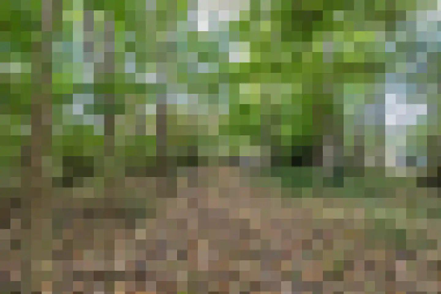 Oosterwoldseweg 80 A Oldeberkoop thumbnail 69