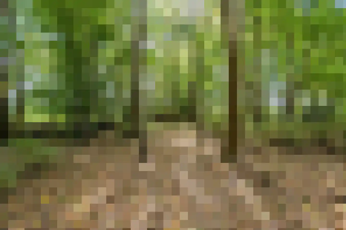 Oosterwoldseweg 80 A Oldeberkoop thumbnail 70