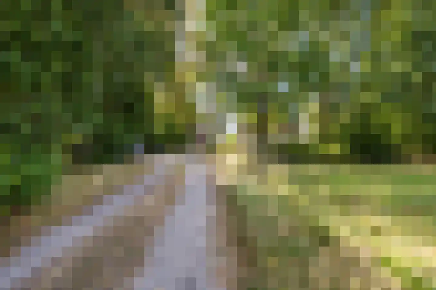 Oosterwoldseweg 80 A Oldeberkoop thumbnail 71