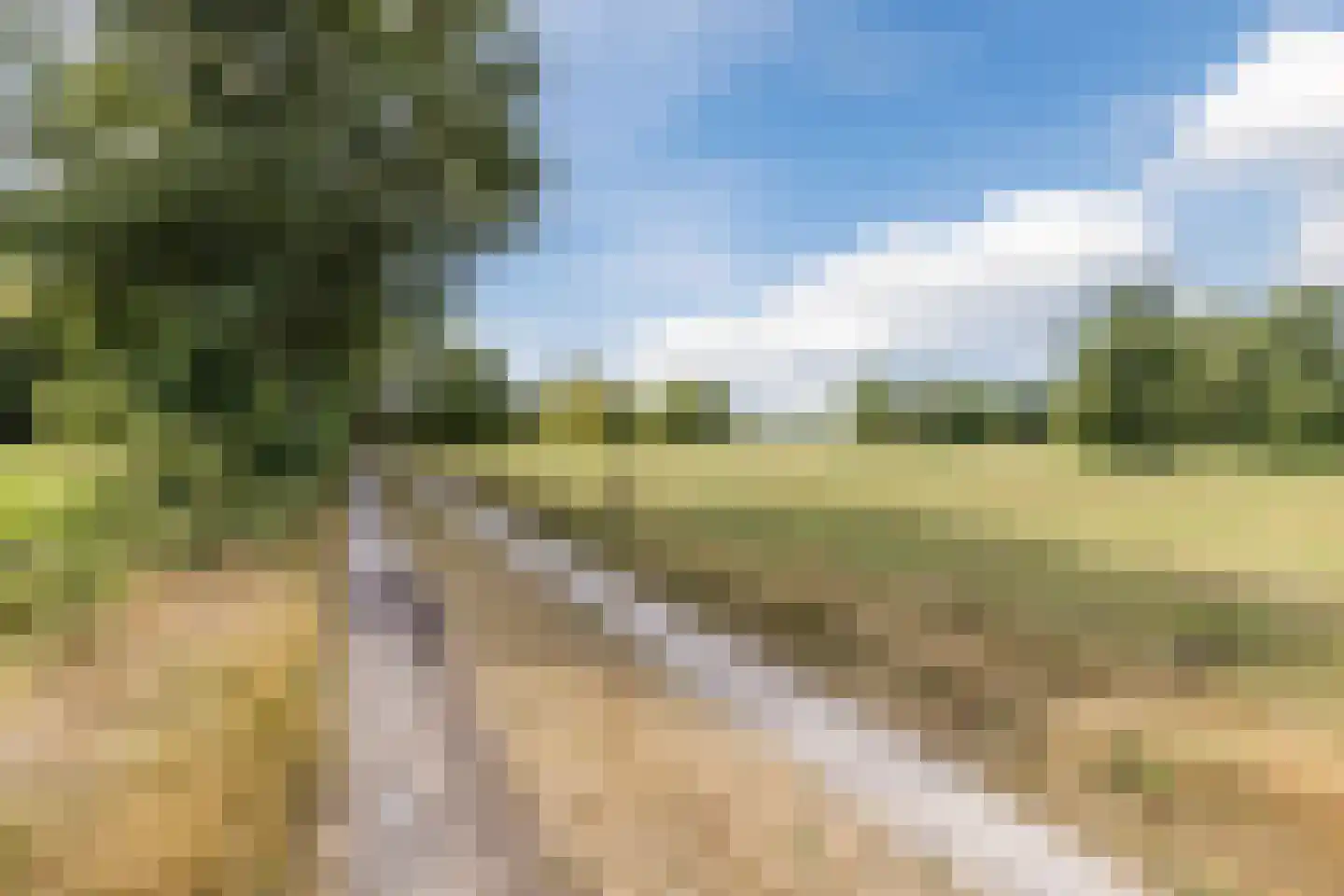 Oosterwoldseweg 80 A Oldeberkoop thumbnail 72