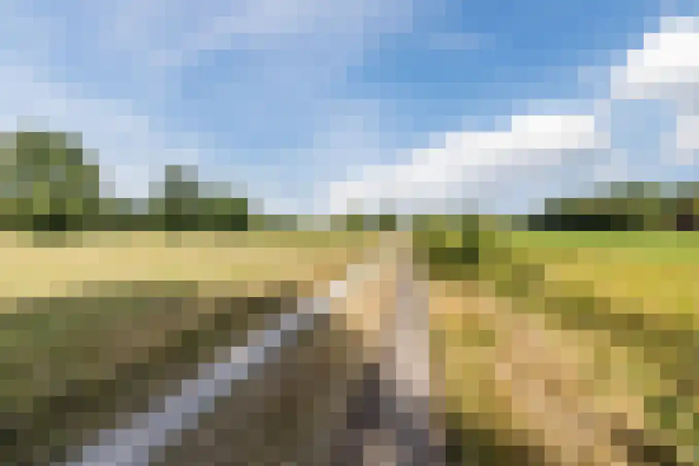 Oosterwoldseweg 80 A Oldeberkoop thumbnail 73