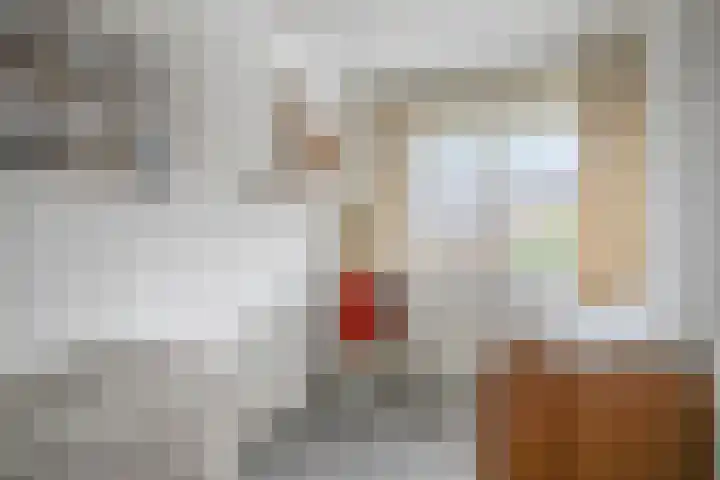Oosterzandweide 6 Helmond thumbnail 27