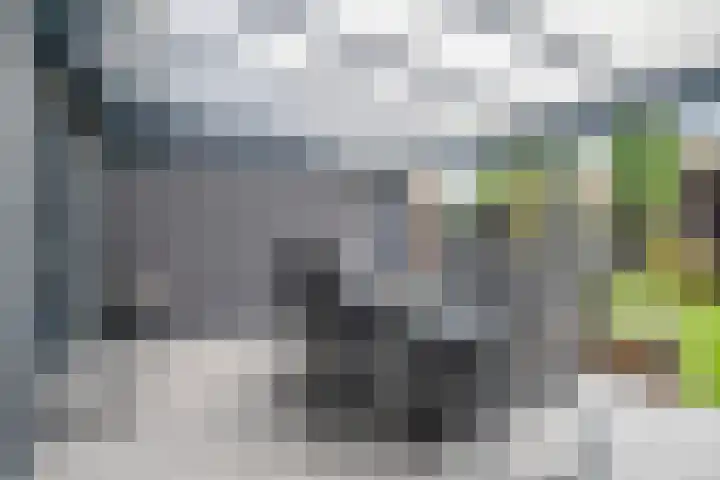 Oosterzandweide 6 Helmond thumbnail 33