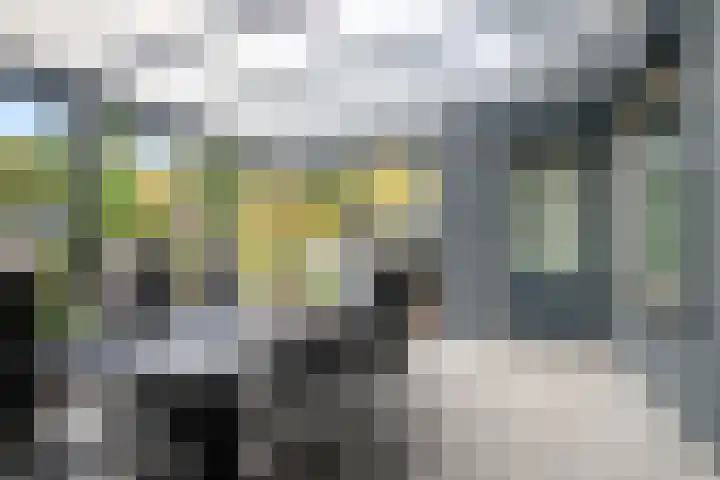 Oosterzandweide 6 Helmond thumbnail 34