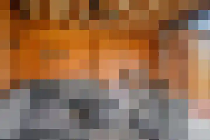 Oosterzandweide 6 Helmond thumbnail 38
