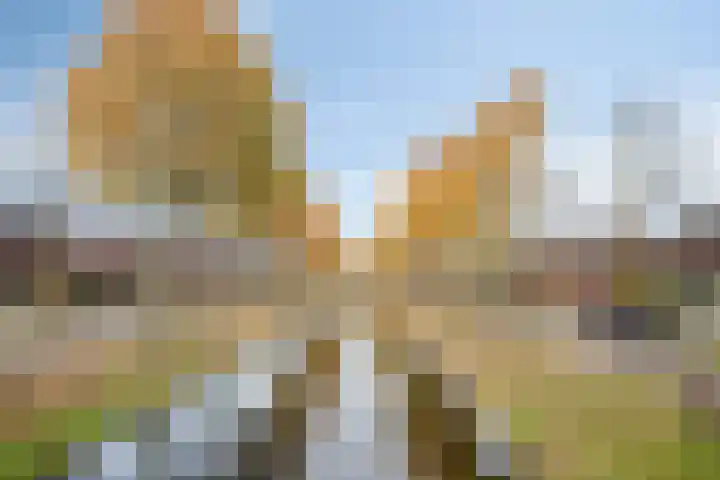 Oosterzandweide 6 Helmond thumbnail 8