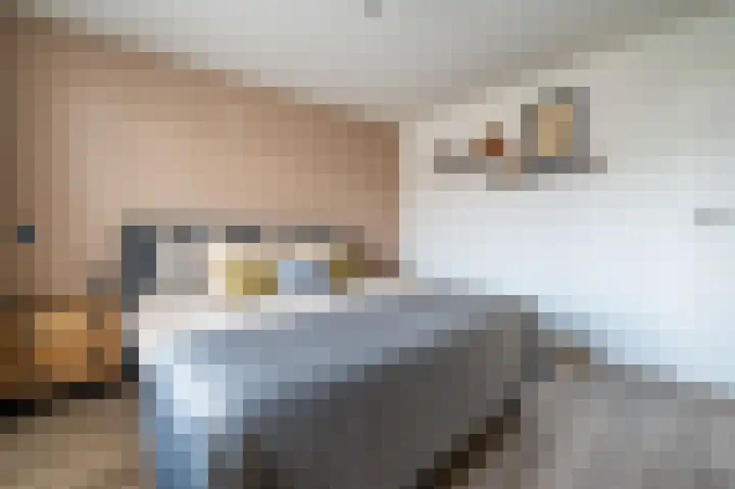 Oosterzeel 12 Steenbergen thumbnail 12