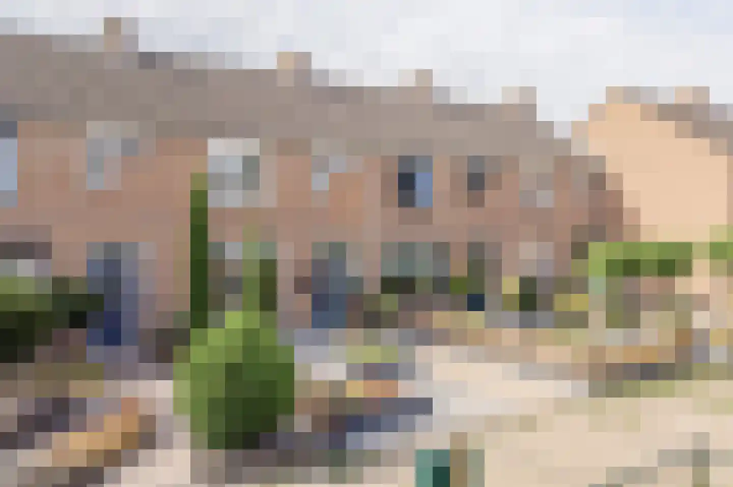 Oosterzeel 12 Steenbergen thumbnail 5