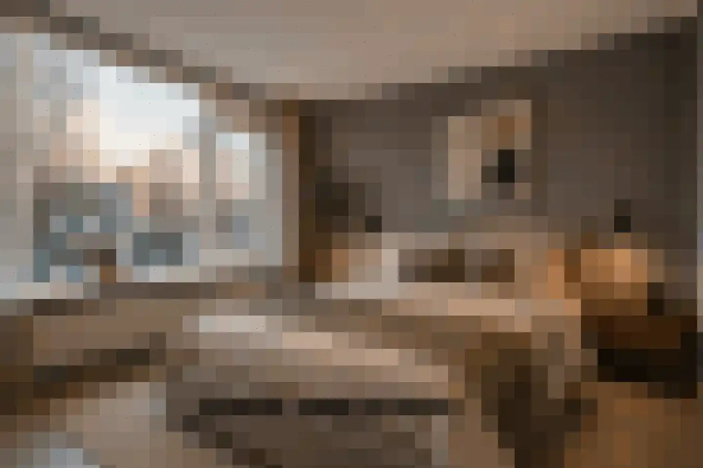 Oosterzelestraat 3 Breda thumbnail 16