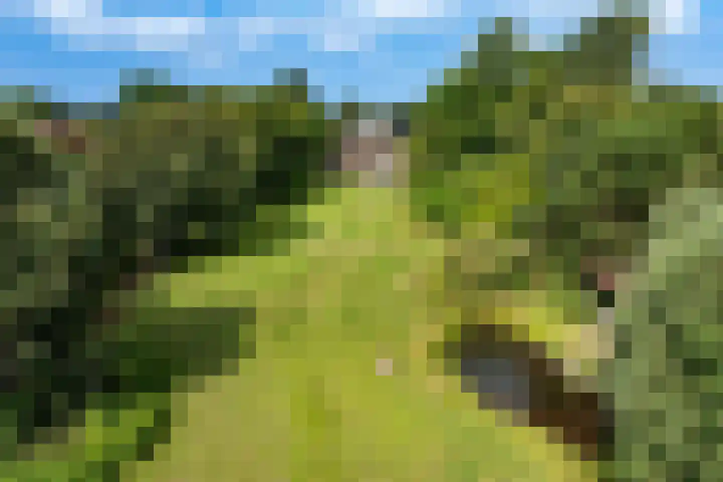 Oosterzijweg 124 Heiloo thumbnail 20