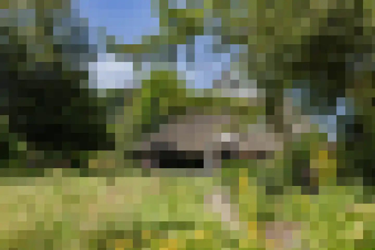 Oosterzijweg 124 Heiloo thumbnail 21